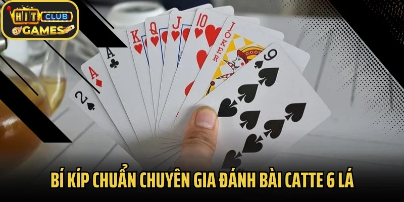 Bí kíp chuẩn chuyên gia đánh bài catte 6 lá