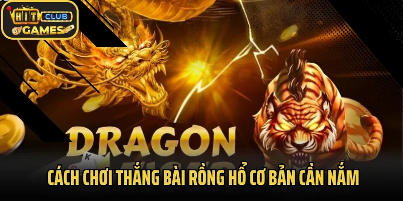 Cách chơi thắng bài Rồng hổ cơ bản cần nắm