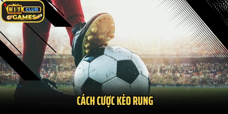 Cách Cược Kèo Rung Hiệu Quả – Kinh Nghiệm Soi Kèo Từ Cao Thủ