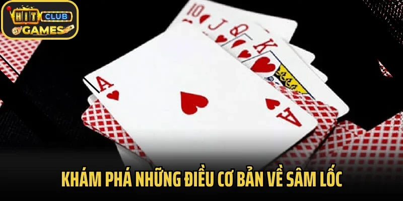 Khám phá những điều cơ bản về sâm lốc